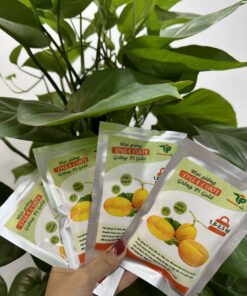 Hạt Giống dưa lưới Pi Gold